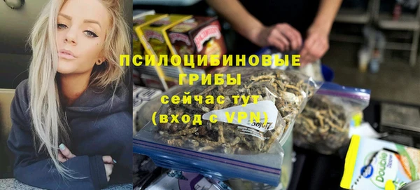 МДПВ Богородицк