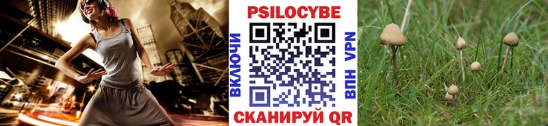Галлюциногенные грибы мицелий Вилючинск